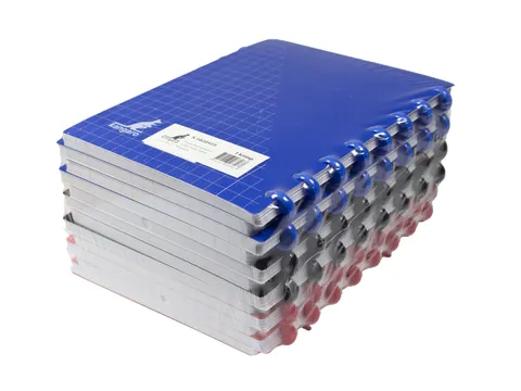 Schrift Kangaro 169x213mm ruit 10mm 90g 12 stuks assorti 3 kleuren
