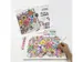 Color Experience Paint by Numbers set Flowers