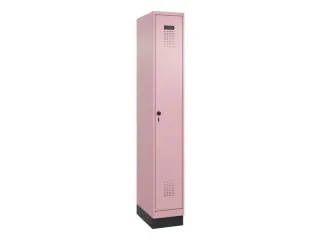 locker voor scheiding van kleding,HxBxD 1950x300x500mm,1vak - 2