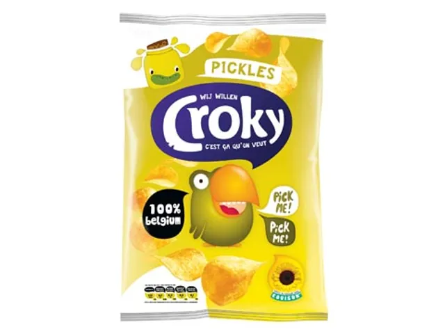 Chips Pickles Zakje Van 100 Gram