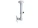 Support de plafond 1 écran Neomounts FPMA-C025SILVER Argent