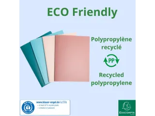 Porte-vues A4 60 vue s PP recyclé SKANDI - 15