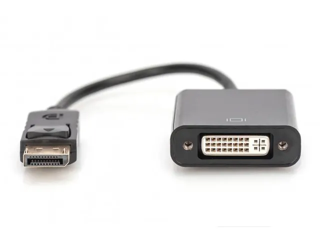 DisplayPort-adapterkabel type DP DVI (24+5) mannelijk/vrouwelijk 0,15m