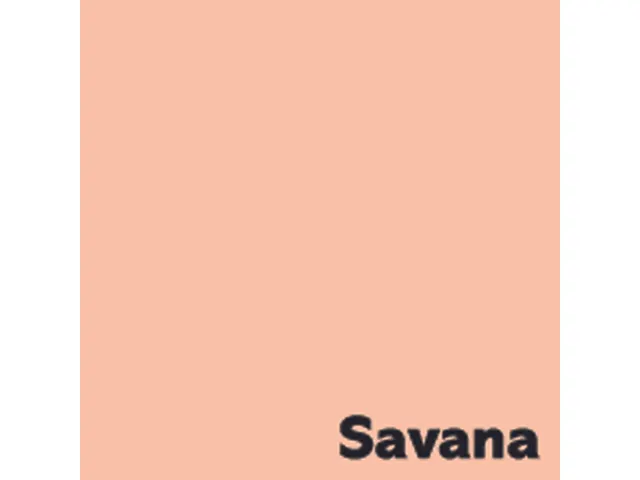Offset papier Image Coloraction savana/zalm 160g 450x640mm FSC