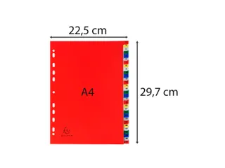 Tabbladen PP A4 bedrukt 1-31 ass - 6