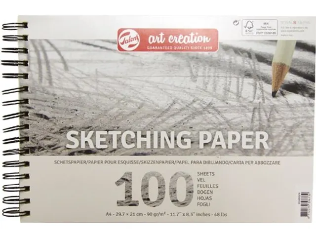 Schetspapier Talens Art Creation 100 witte vellen 90gr 297x210mm grijs