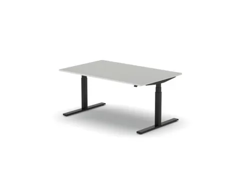 Elektrisch ihv bureau,HxBxD 650-1310x1600x1000mm,blad lichtgrijs