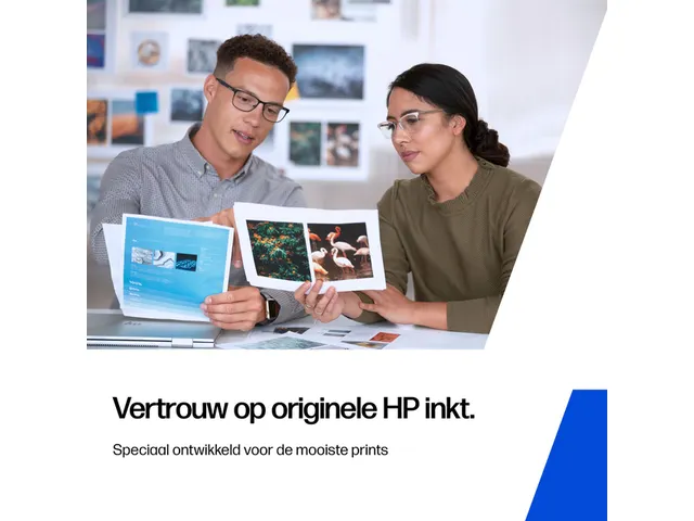 Inktcartridge HP C2P11A 651 kleur