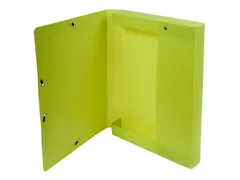 Klasseerdoos FOREVER PP rug 40mm anijs