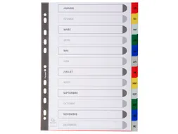 Bedrukte Tabbladen A4 12-delig Jan-dec 11-gaats Frans Assorti