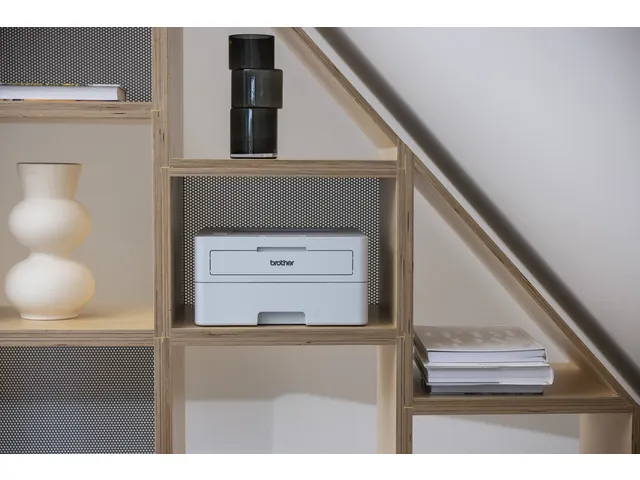 Printer Laser Brother HL-L2865DW