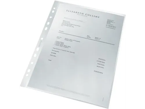 Recycle geperforeerde showtas A4 100 micron
