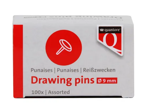 Punaises Quantore 100 stuks assorti