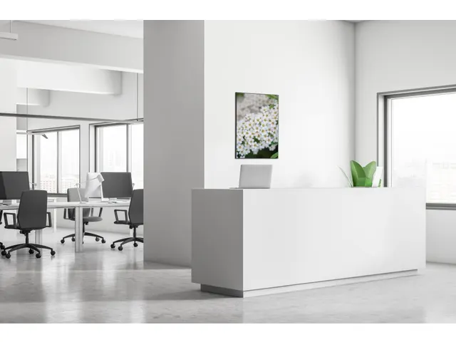 Wanddecoratie Textiel Set A1 Witte Bloem Spirea