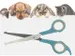 Ciseaux pour animaux Pets Aid Only pointes arrondies 15 et 18 cm