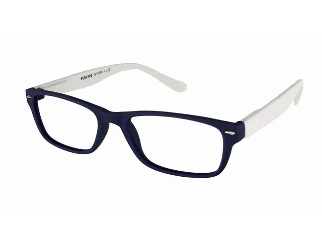 Lunettes de lecture I Need You +2.50 dpt Feeling bleu-blanc