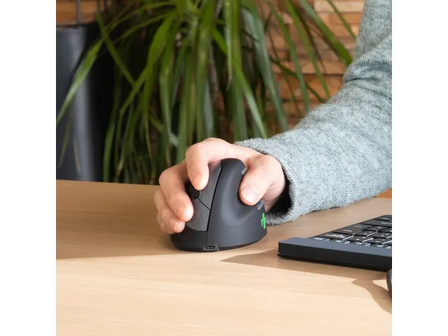 Ergonomische muis R-Go HE Break Large Rechts draadloos Zwart