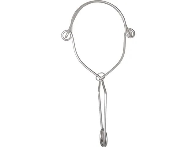 RVS ankerhaak 140 mm