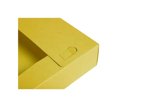 Cartobox Archiefdoos R60mm Aquarel geas