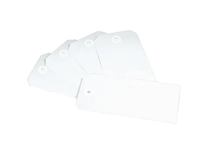 Etiquette Raadhuis 55x110mm blanc 1000 pièces