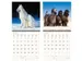Kalender 2027 Helma 365 30x30cm honden