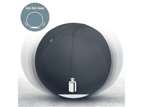Leitz Ergo Actieve Zitbal anti-rol 65cm Donkergrijs
