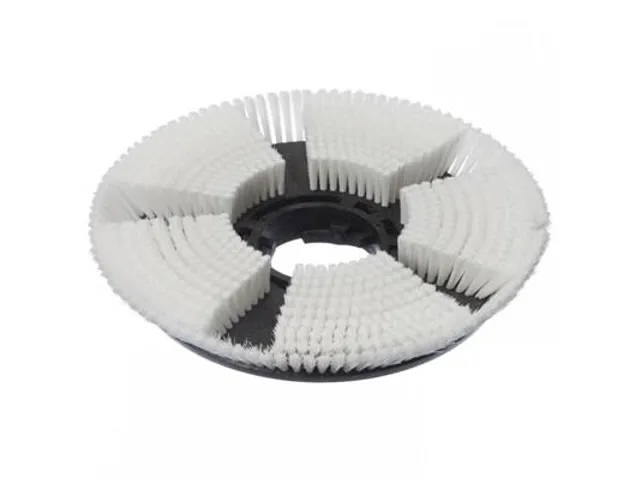 TASKI Borstel voor Droog Shamponeren