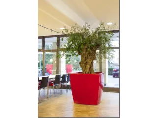 plantenpot,trapeziumvormig,PE,robijnrood,HxBxD 900x1000x1000mm,380l - 3