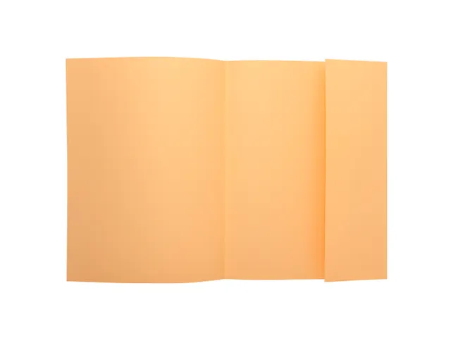 Dossiermap Exacompta Super 160gr 1 klep lichtoranje A4 100 Stuks