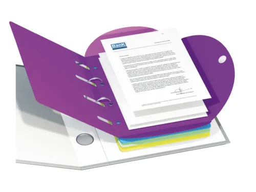 ringmap-set,1ringmap,6mappen,DIN A4,doos,op kleur gesorteerd