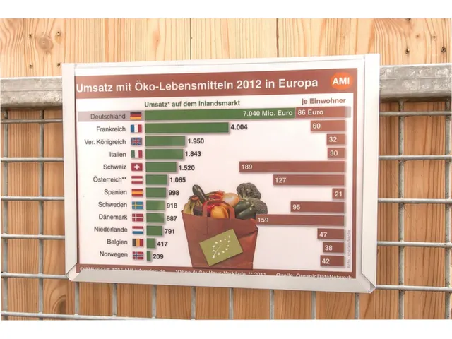 zichtpaneel,DIN A4,liggend,geel,achterzijde magnetisch