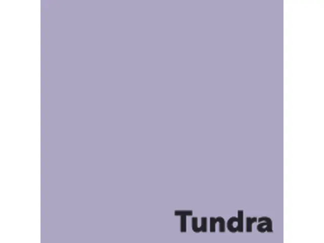 Offset papier Image Coloraction tundra/lila 120g 450x640mm FSC
