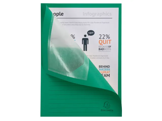 50 Venstermappen Forever 22x31cm Assorti