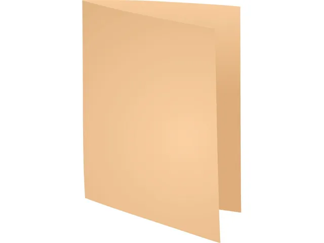 Pak van 250 inlegmappen SUPER 60 - 22x31cm-Gems