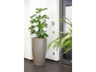 plantenzuil,rond,PE,beigegrijs,HxØ 1100x620mm,80l - 2