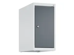 opzetkast,v. locker,1vak.,vak B 250mm,HxBxD 500x250x500mm,vleugeldeur
