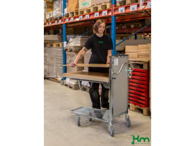 Kopwandwagen,Draagverm. 300Kg,2Etage(S),Staaletage,Gegalvaniseerd