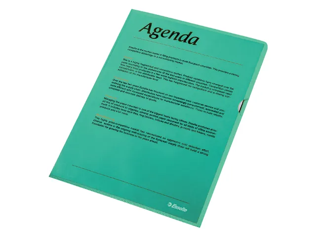 Insteekmap L-map Esselte Standaard A4 0.11mm Pp Groen