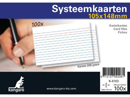 Systeemkaarten A6 105x148mm 100 stuks