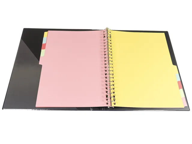 Intercalaires Multo A4 23r blanc carton recyclé 160 grammes 10 divisi