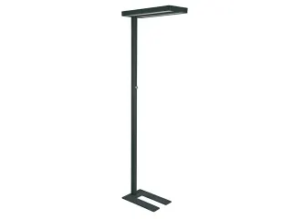 Vloerlamp MAUL Javal LED dimbaar zwart hoog 195cm - 1