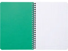 FOREVER spiraalschrift A5 90g geruit groen