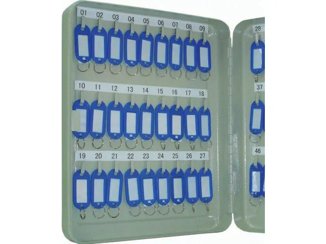 Sleutelkast Voor 54 Sleutelhangers Grijs Inclusief 2 Sleutels