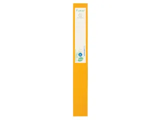 Klasseerdoos FOREVER PP rug 40mm ass. - 13