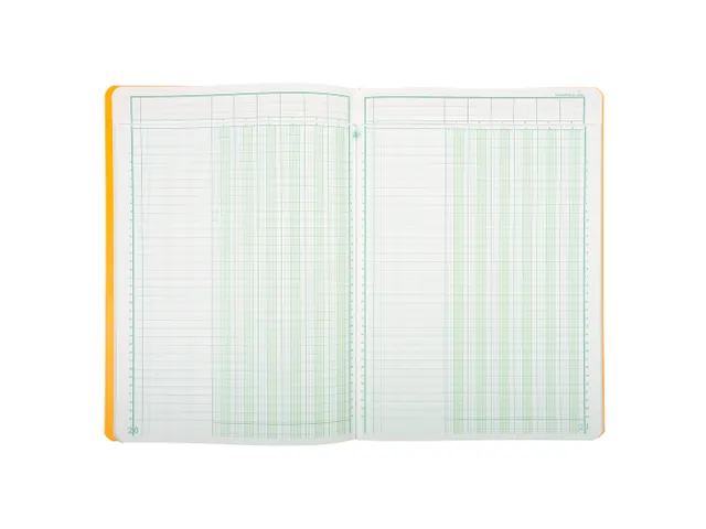 Piqure 29,7x21 uitg hoofd 6 kol80 bl