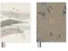 Dummyboek Soft Scenes HC A5 blanco krimp a 2stuks assorti met 3 leesli