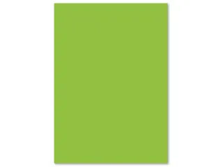 papier Kangaro A4 160 gram pak a 50 vel groen - 5
