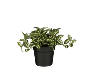 Kunstplant Mica Tradescantia in pot groen 16x16cm - 2