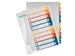 Tabbladen Leitz 1-10 Pp, 11-Gaats A4 Maxi