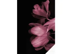 Schrift Classy Black A4 lijn